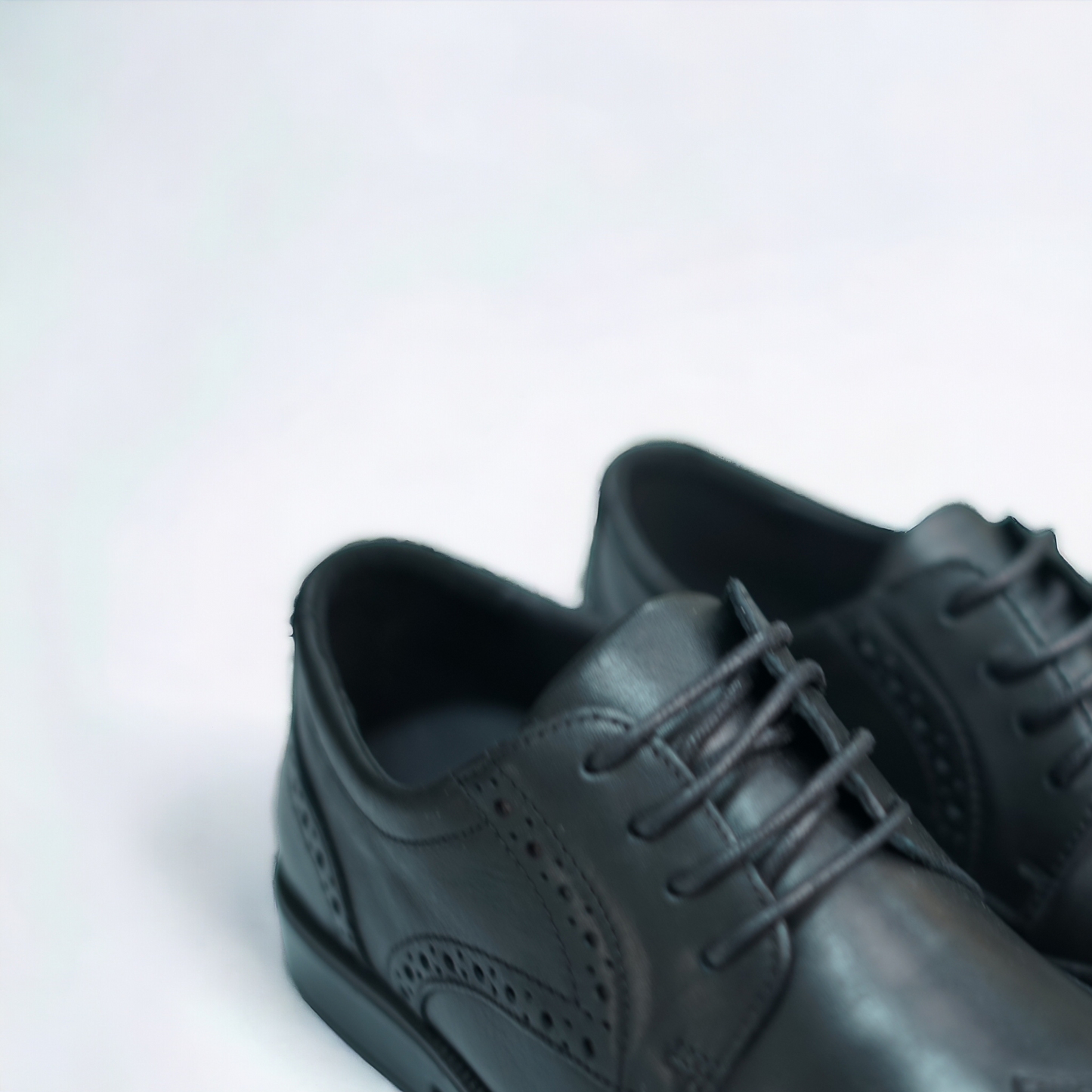 Brogue Giorgio - STILNOVO